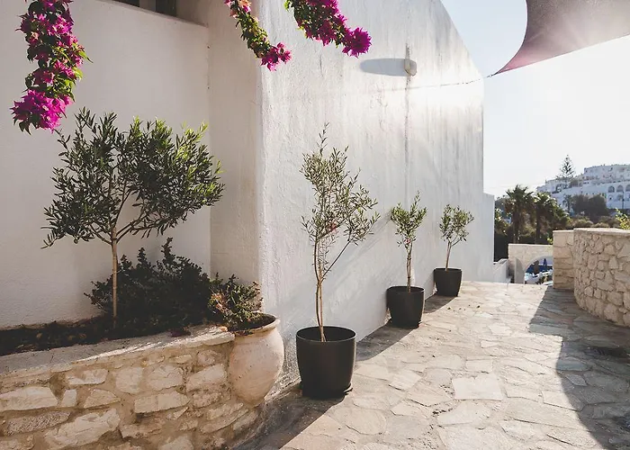 Paliomylos Νάουσα