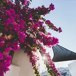מלון דירות Paliomylos נאוסה