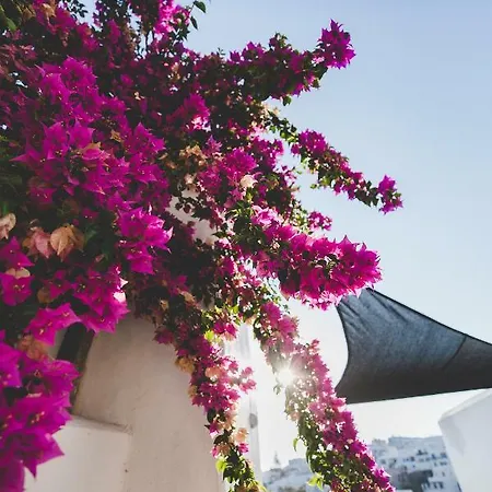 Апарт-отель Paliomylos Науса