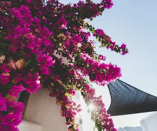 Lejlighedshotel Paliomylos Naousa